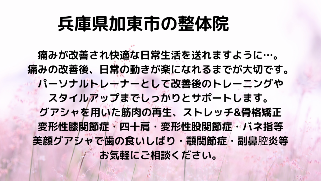 加東市整体 健康時間 ヘルシータイム
